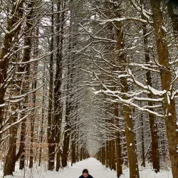 Holland Landing Trail System - Holland Landing