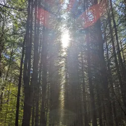 Holland Landing Trail System - Holland Landing
