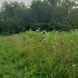 Holland Landing Trail System - Holland Landing