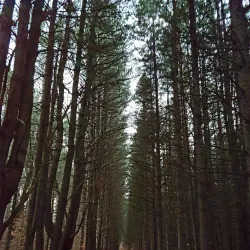 Holland Landing Waterfront Park - Holland Landing