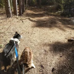 Holland Landing Waterfront Park - Holland Landing