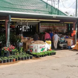 Houston Farmers Market - Houston