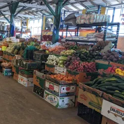 Houston Farmers Market - Houston