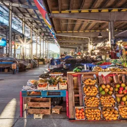 Houston Farmers Market - Houston