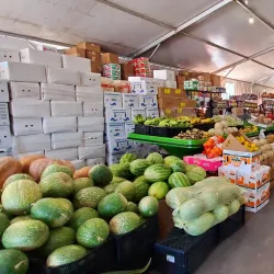 Houston Farmers Market - Houston