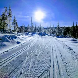 Morice Mountain - Houston