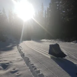 Morice Mountain - Houston