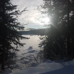 Morice Mountain - Houston