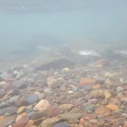 Morice River - Houston