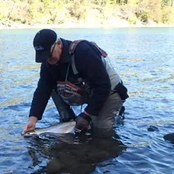 Morice River - Houston