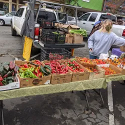 Humboldt Farmers' Market - Humboldt