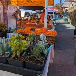 Humboldt Farmers' Market - Humboldt