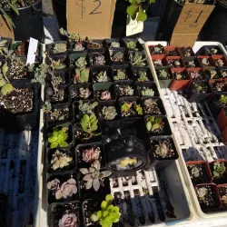 Humboldt Farmers' Market - Humboldt