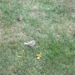 Humboldt Golf Club - Humboldt