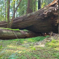 Humboldt Regional Park - Humboldt