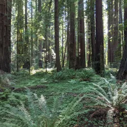 Humboldt Regional Park - Humboldt