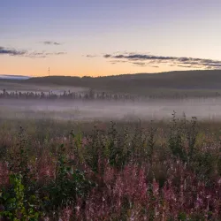 Aurora Viewing Spots - Inuvik