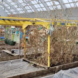 Inuvik Community Greenhouse - Inuvik