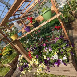 Inuvik Community Greenhouse - Inuvik