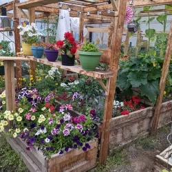 Inuvik Community Greenhouse - Inuvik