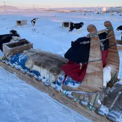 Northern Lights Viewing - Iqaluit