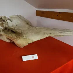 Nunatta Sunakkutaangit Museum - Iqaluit