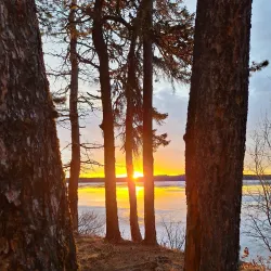 Island Lake - Island Lake