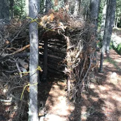 Island Lake - Island Lake