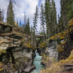 Athabasca Falls - Jasper