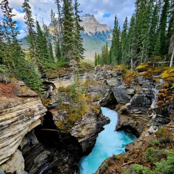 Athabasca Falls - Jasper