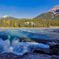 Athabasca Falls - Jasper
