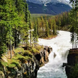 Athabasca Falls - Jasper