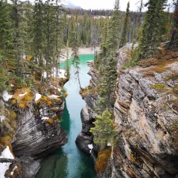 Athabasca Falls - Jasper