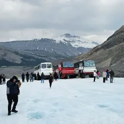 Columbia Icefield - Jasper