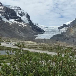 Columbia Icefield - Jasper