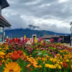 Jasper National Park - Jasper