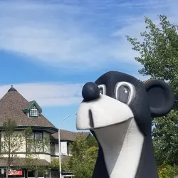 Jasper National Park - Jasper