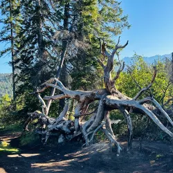 Pyramid Lake - Jasper
