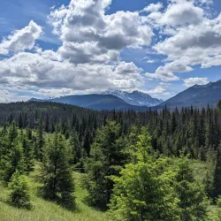 Valley of the Five Lakes - Jasper