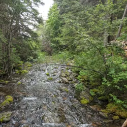 Valley of the Five Lakes - Jasper