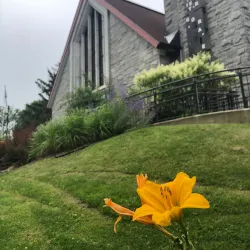 Bibliothèque publique de Joliette - Joliette