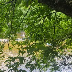 Centre Culturel Thérèse Lafleur - Joliette