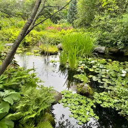 Maison Antoine-Lacombe - Joliette