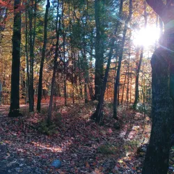 Parc des Vétérans - Joliette