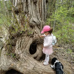 Parc des Vétérans - Joliette