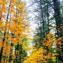 Parc des Vétérans - Joliette