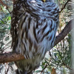 Kamloops Wildlife Park - Kamloops