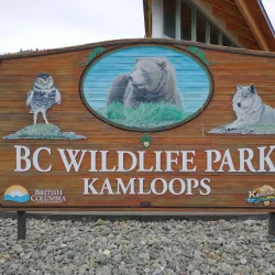 Kamloops Wildlife Park - Kamloops