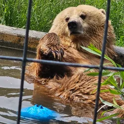 Kamloops Wildlife Park - Kamloops