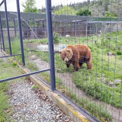 Kamloops Wildlife Park - Kamloops